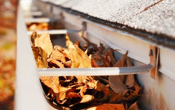 Willingham Green gutter cleaning companies